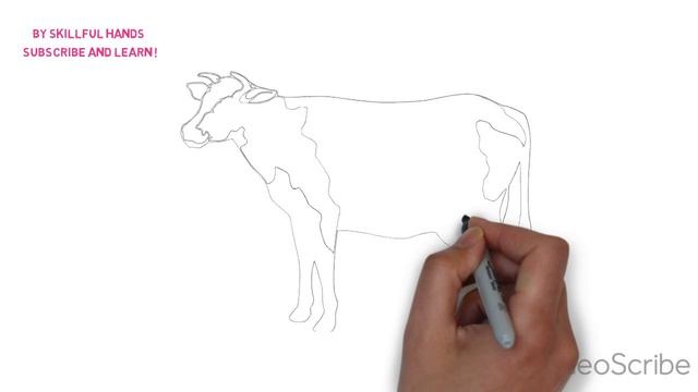 How to Draw a Cow / Как нарисовать корову смотреть онлайн