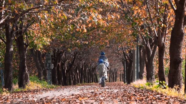 Осень. Бабье лето. Красота и грусть! Музыка: Евгений Полянский! смотреть онлайн