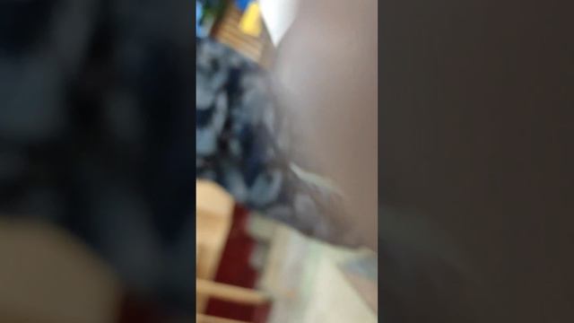 Оцените ролик по достоинству ! смотреть онлайн