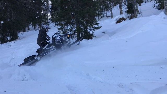 Школа Uralriders. Группа декабрь 2018. Бедярыш. смотреть онлайн