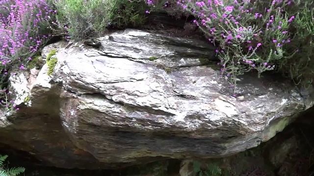 A Walk Through Glendalough, County Wicklow, Ireland