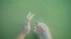 Я в ШОКЕ! Если бы знал что найду-ночь бы не спал! Подводный коп с металлоискателем на ЗОЛОТОМ пляже