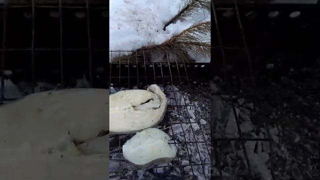 Готовим рыбу Зубатку на мангале смотреть онлайн