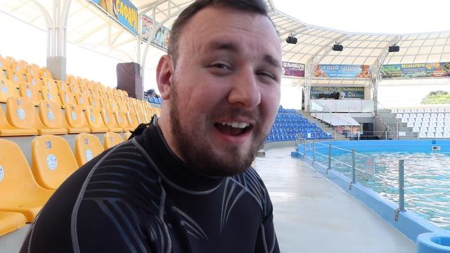 ДАЙВИНГ с ДЕЛЬФИНАМИ смотреть онлайн