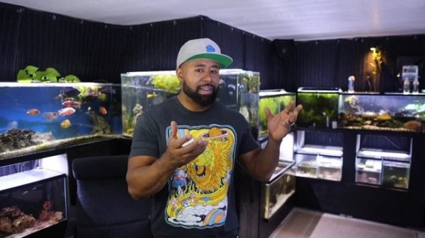 DIY African Cichlid Fish Food - Good for ANY FISH!