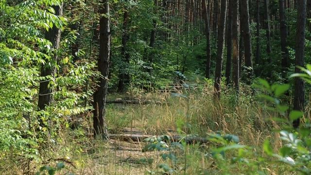 Маскхалат - тест маскировочных костюмов