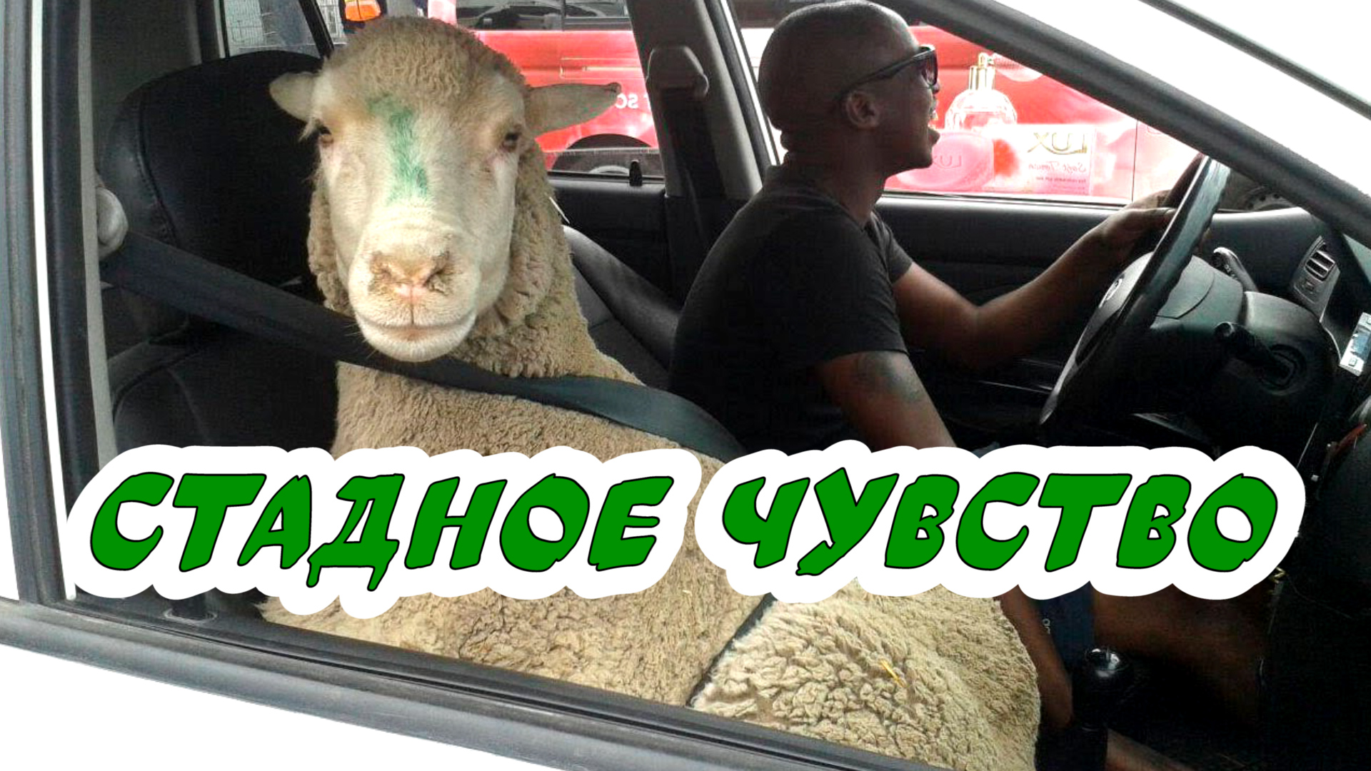 Левый поворот и стадное чувство смотреть онлайн