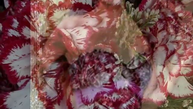 Светлана,с Днем рождения! смотреть онлайн