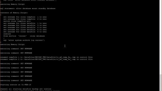 RMAN DUPLICATE 1MB FRA смотреть онлайн