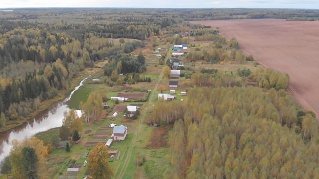 Поиск монет у старой деревни на краю поля ? в поисках золота. смотреть онлайн