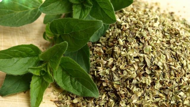 Usos medicinales del orégano, (Origanum vulgare) смотреть онлайн