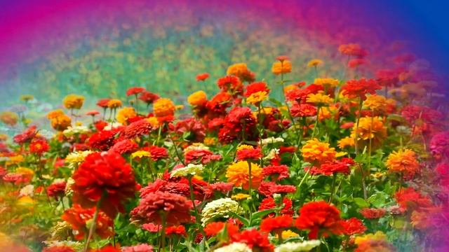 Фон с цветами 11 смотреть онлайн