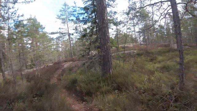 По Финляндии велокросс по лесу и на скалу над озером 4.5.2019 смотреть онлайн