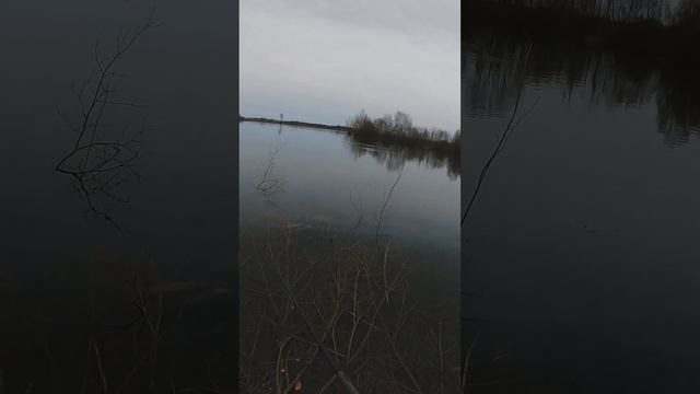 TICKET GAGNANT POUR LE BALAM NOIR ALIEXPRESS смотреть онлайн