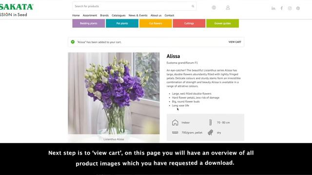 Introduction Image Library Sakata Ornamentals EMEA website смотреть онлайн