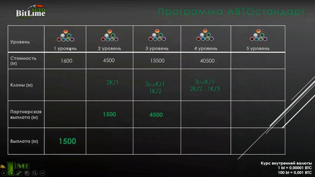 Купить авто без кредита и лизинга - с компанией MagicLime Academy/ партнерская программа маркетплей смотреть онлайн