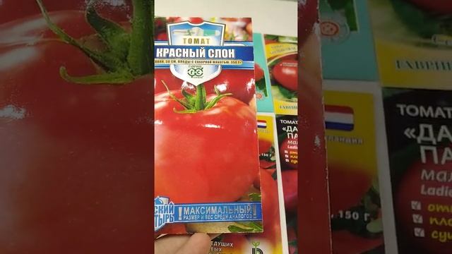 Детерминантные томаты смотреть онлайн