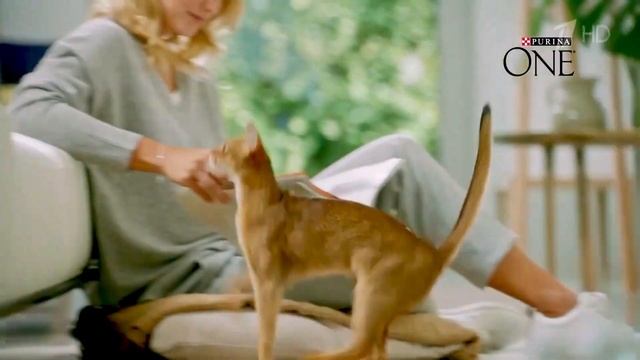 Сухой корм для кошек Purina ONE смотреть онлайн