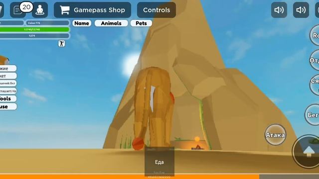 Зоопарк в Доме