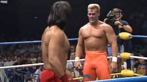 The WCW Career of Sting: 1985 - 1996
