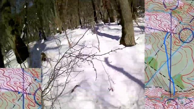 Спортивное ориентирование от первого лица (headcam orienteering). УТС на КМВ 4 день, Бештау. смотреть онлайн