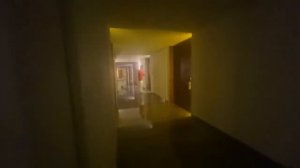 Вжлинк VJLink докопался до негра сутенера и чуть не получил по щам