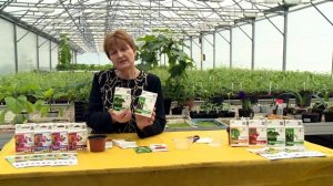 ГАМАИР и АЛИРИН-Б инструкция по применению при высадке семян