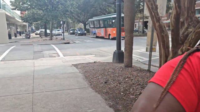 Vlog | SUB |Nova And Lyric Takeover Savannah | Downtown, Square and Daffin Park #americanbullybreed смотреть онлайн