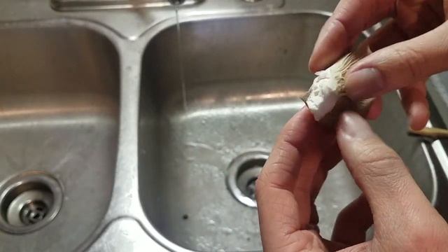Forage, Clean, & Cook Oyster Mushrooms смотреть онлайн