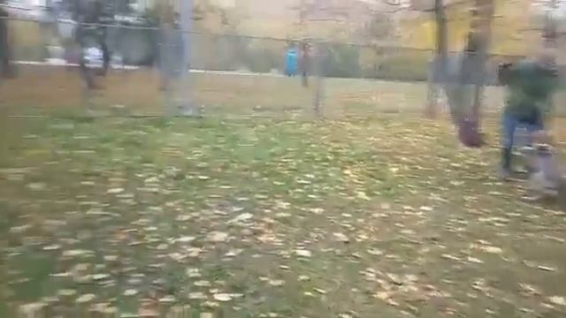 Щенячья тусовка и команда "ко мне" смотреть онлайн