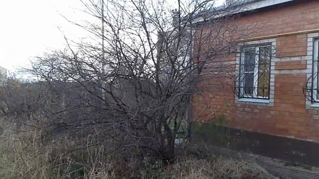 Деревья бывают красные, синие, фиолетовые, жёлтые и т. д. КАРТИНЫ МАСЛОМ смотреть онлайн