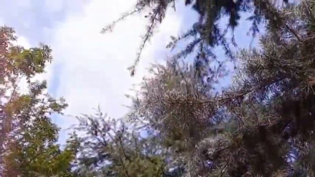 Century Park, Pudong, Shanghai смотреть онлайн