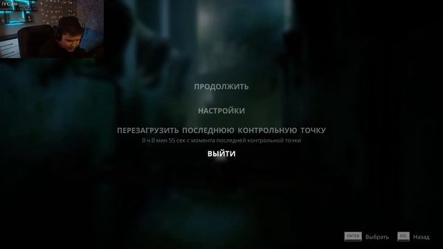 Кото-стрим Stray с вебкой [часть 2] смотреть онлайн