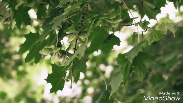 Уфимская волна 2018 Дети смотреть онлайн