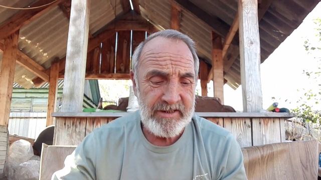 Обзор урожая 2022 г. смотреть онлайн