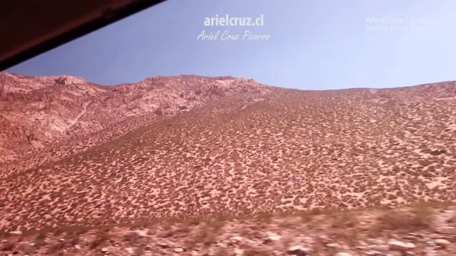Ando en Bus SANTIAGO BUENOS AIRES en bus de turismo Turisval, Comil Campione | ArielTourIguazú 1 смотреть онлайн
