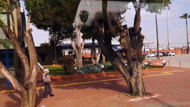 ?Как добраться до Мерсина? Antaliya ► Adana ►Mersin ► Tece
