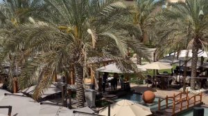 ОАЭ Абу-Даби обзор отеля и стандартного номера SAADIYAT ROTANA RESORT & VILLAS 5*