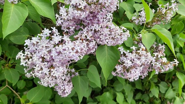 Удачного дня! Счастья , радости , добра !!!