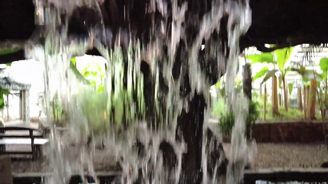 краснодар. парк Галицкого и сафари парк смотреть онлайн