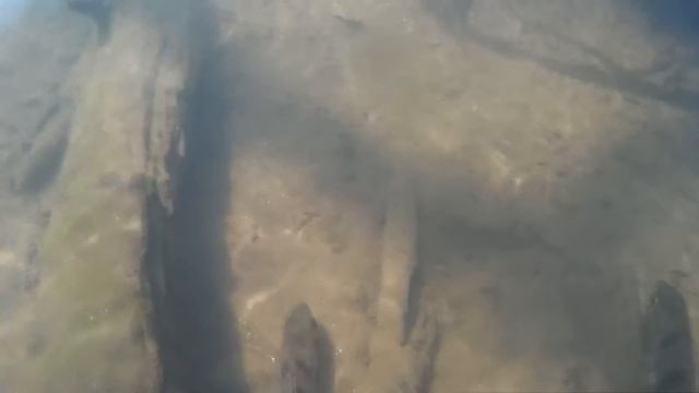 Мои подводные съемки! - малая река весной смотреть онлайн