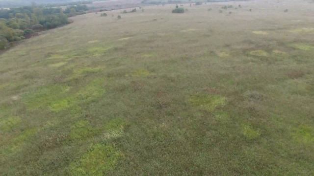 2. Осмотр поля, поиски человека. Квадрокоптер DJI Phantom 3 Professional 4K смотреть онлайн