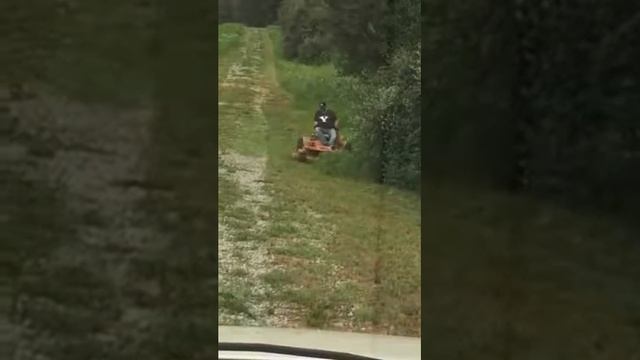 Brian always mowing! смотреть онлайн