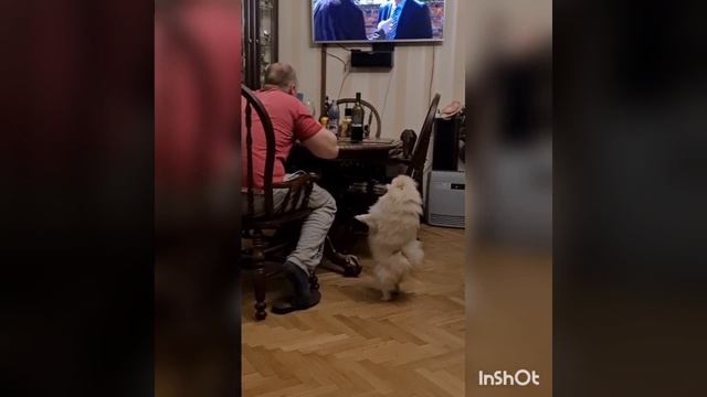 с 23 февраля!!