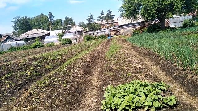 Почему нам нужен огород, вы как хотите, а мы будем садить смотреть онлайн
