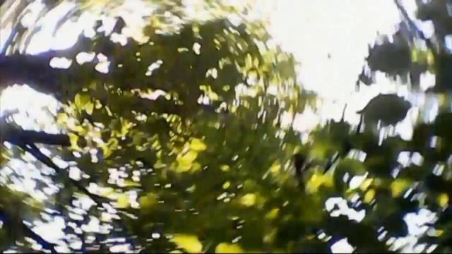 Эннио Морриконе смотреть онлайн