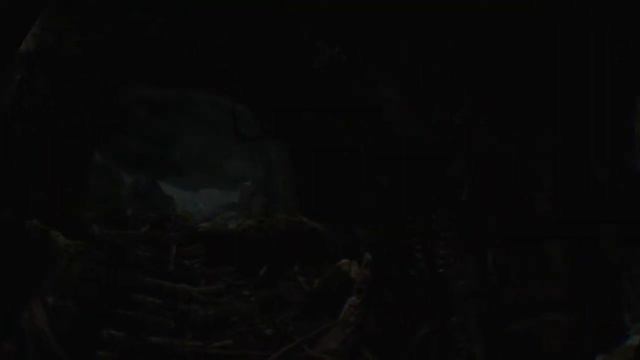 Skyrim VR scary смотреть онлайн