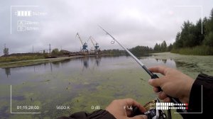 Zetrix Hayron HRS 742LML. Добротный универсальный спиннинг. Айда на берег!