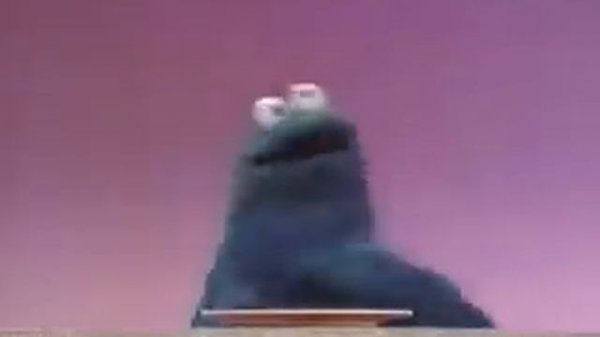 Cookie Monster - 6 Cookies