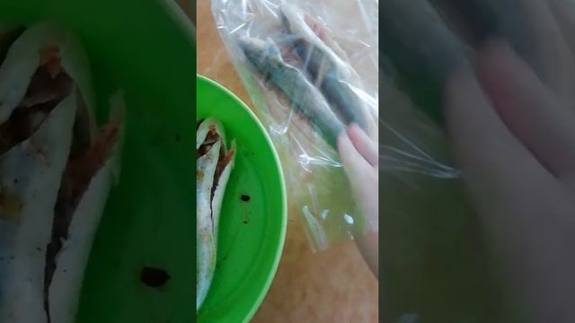 Запеченное в духовке — рецепты и советы